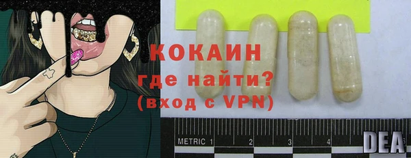 мет Алексин