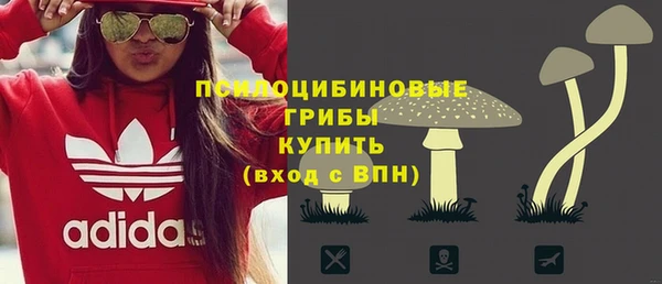 мет Алексин
