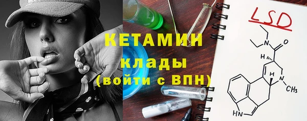 мет Алексин