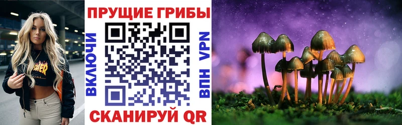 Галлюциногенные грибы GOLDEN TEACHER  магазин продажи наркотиков  Хвалынск 